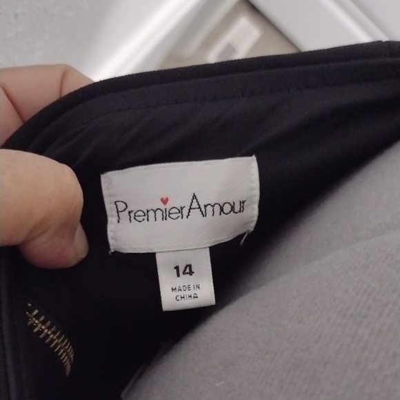 Premier Amour Elegant Black Long Sleeve Dress with Sheer Details - Picture 2 of 13